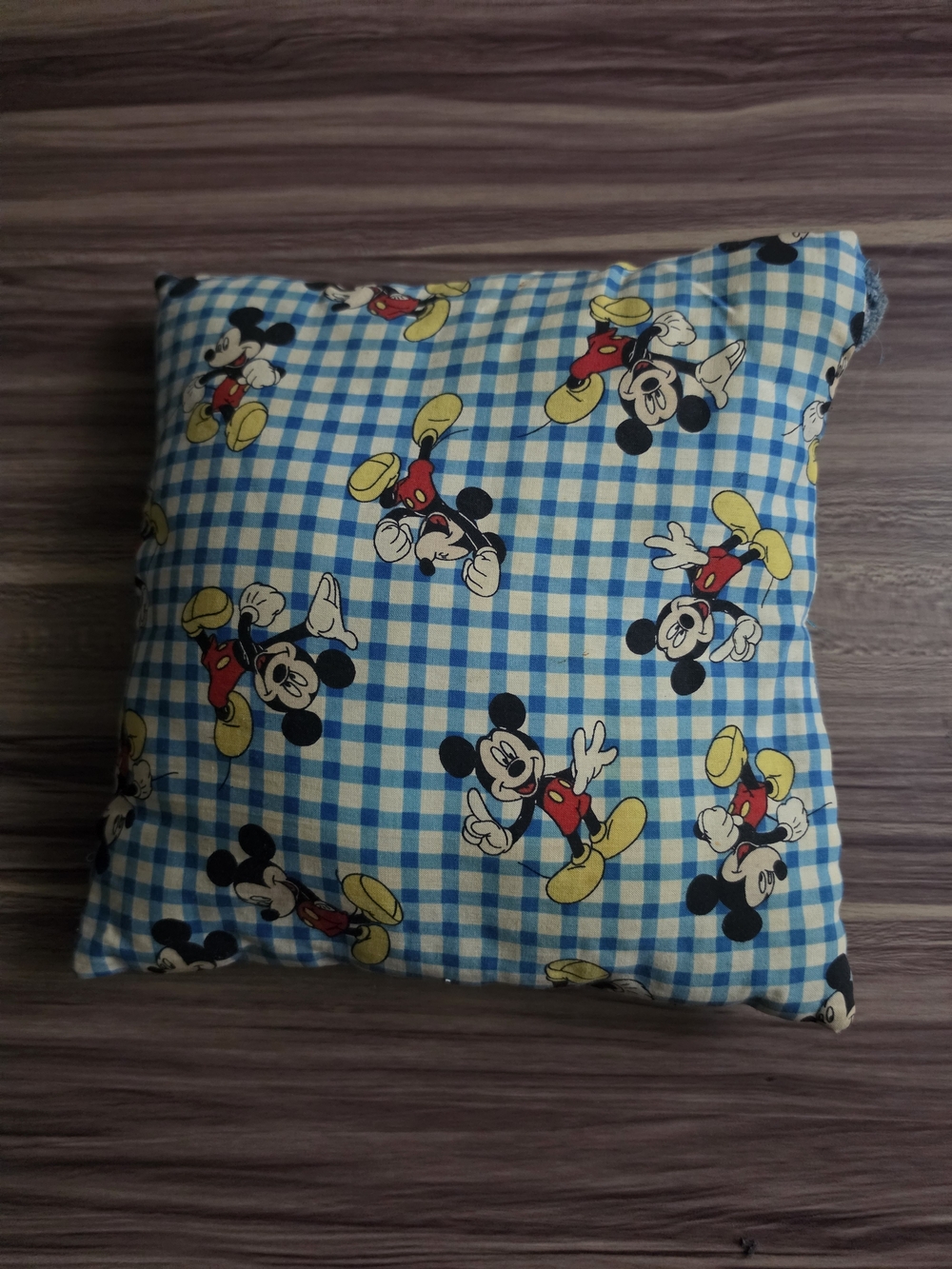 Blue Check Decorative Throw Pillow with Character Print